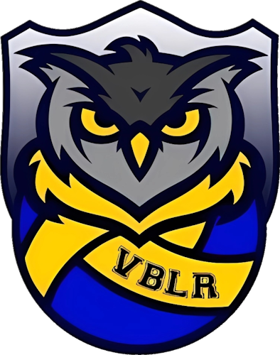Logo VOLLEY-BALL LA ROCHETTE