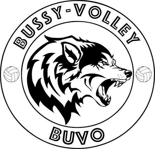 Logo BUSSY VOLLEY