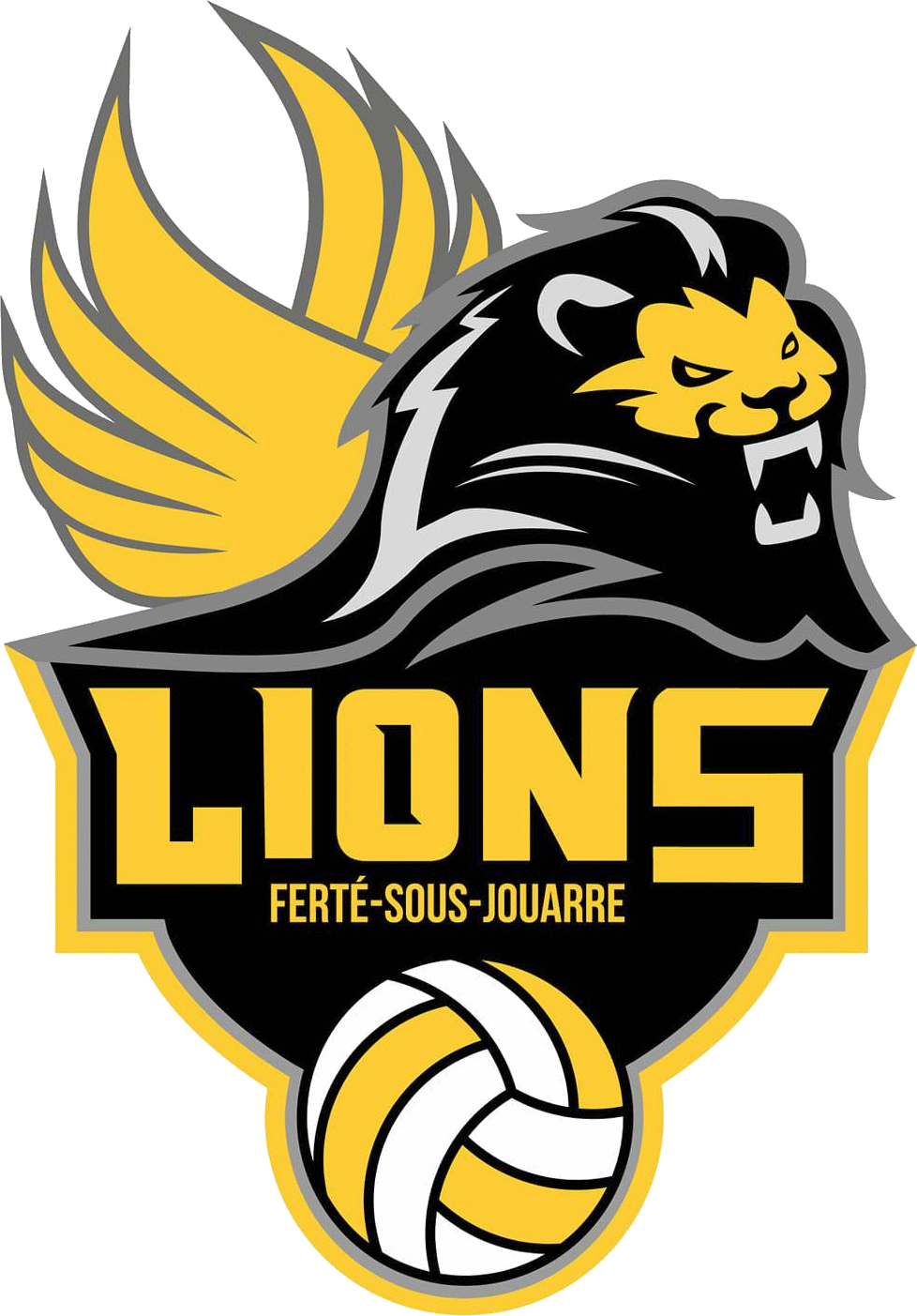 Logo LA FERTE VOLLEY