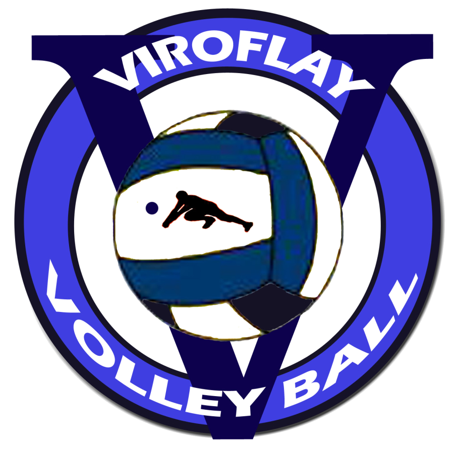 Logo USM DE VIROFLAY