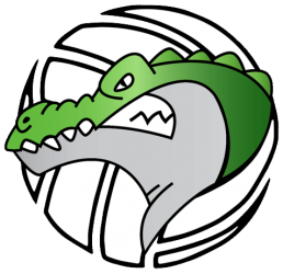 Logo VOLLEY-CLUB PLAISIR-VILLEPREUX