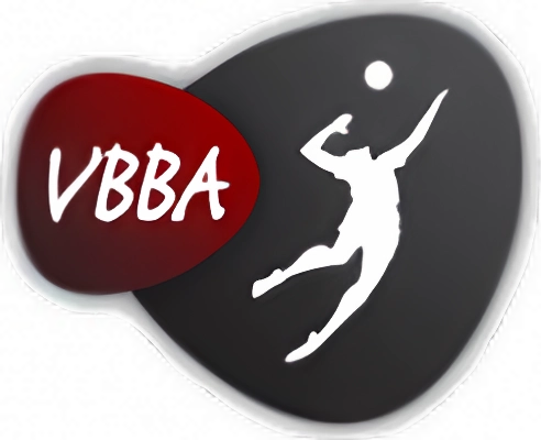 Logo VOLLEY-BALL BOIS D'ARCY