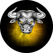 Logo WILL'SPORTS