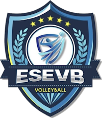 Logo EXCELLENCE SUD-ESSONNE VOLLEY-BALL