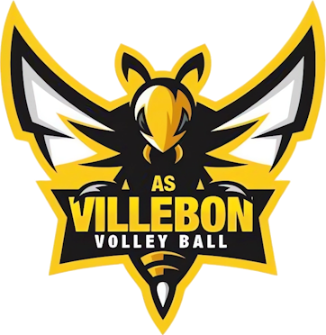 Logo ASV - ARTS ET SPORTS A VILLEBON