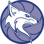 Logo ANTONY VOLLEY