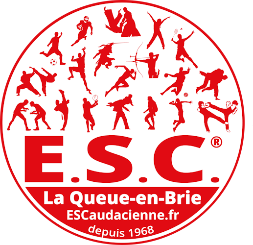 Logo CAUDA VOLLEY-BALL
