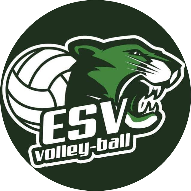Logo ENTENTE SPORTIVE VITRY
