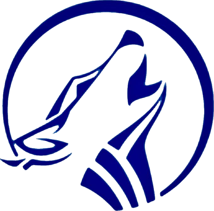 Logo MONTIGNY VOLLEY 95
